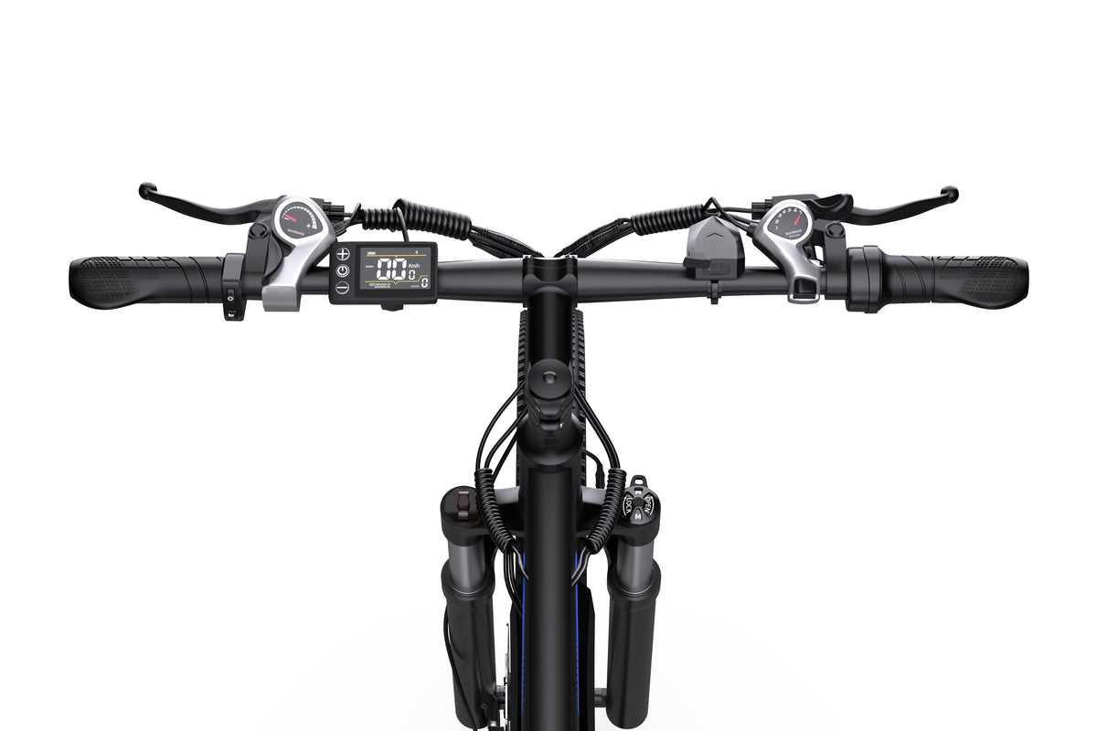 DUOTTS C29 Pro Elektrofahrrad 750W 15Ah