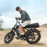 ENGWE M1 Elektrofahrrad 15,6 Ah