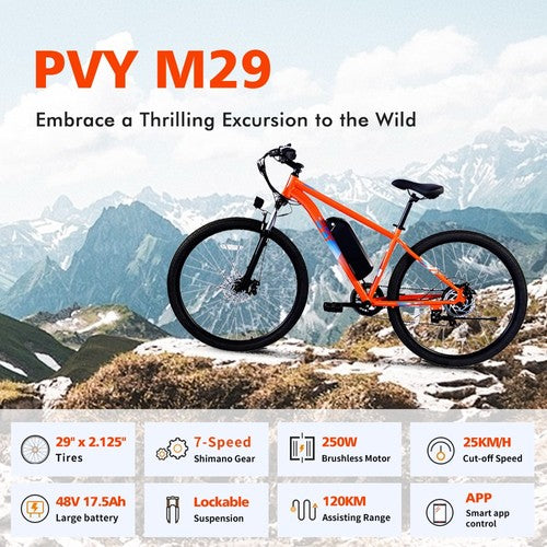 PVY M29 Elektrofahrrad 250W Motor 48V 17,5Ah