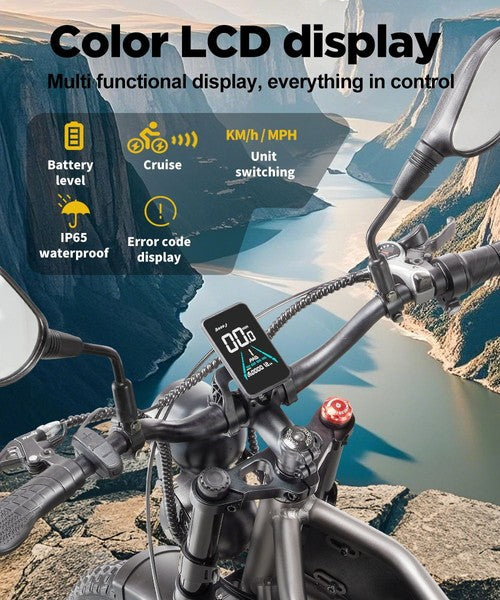 RANDRIDE DM711 Elektrofahrrad 1000W*2 Motor, 48V 20Ah