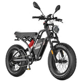 Fafrees F20 Ultra Elektrofahrrad (Bremsen-Upgrade-Version), 750-W-Motor, 48 V 25 Ah