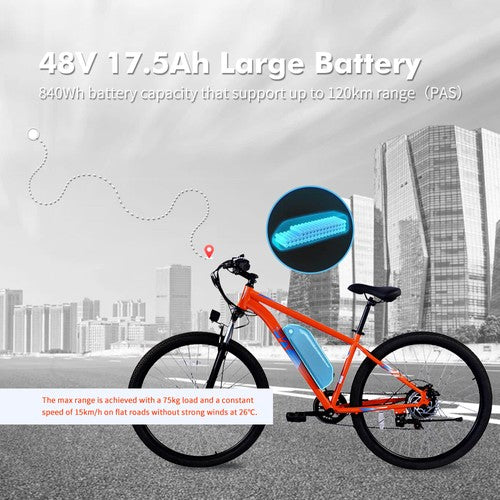 PVY M29 Elektrofahrrad 250W Motor 48V 17,5Ah