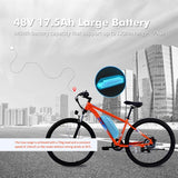 PVY M29 Elektrofahrrad 250W Motor 48V 17,5Ah