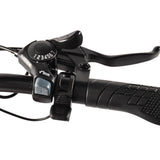 KAISDA K201 3.0 Elektrofahrrad 36V/20.8Ah 