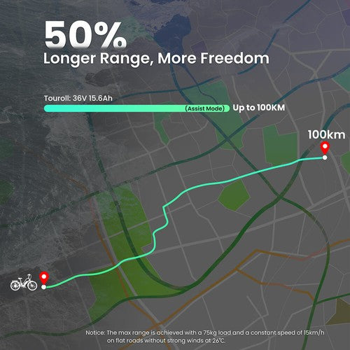 Touroll B2 Elektrofahrrad 250W Motor 36V 15.6Ah