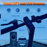 TWOFISH V1 MAX E-Scooter, 400-W-Motor