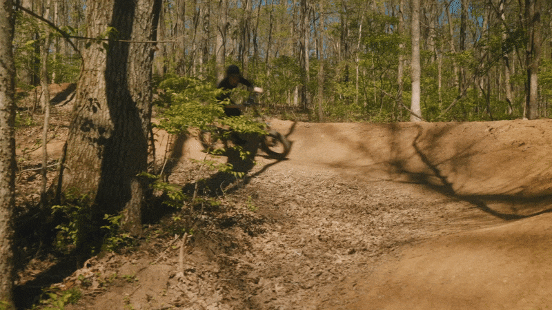 PVY Z20 Plus 1000W Falt-Elektrofahrrad 20*4.0 Fatbike-Reifen