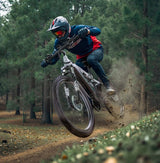 DUOTTS E29 Elektrofahrrad, 250-W-Motor, 48-V-13,5-Ah-Akku, 27,5 Zoll