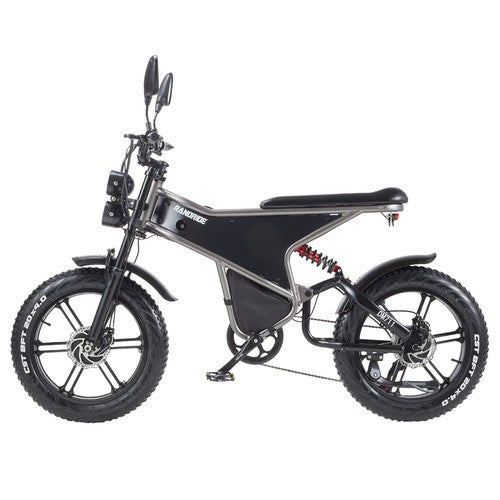 RANDRIDE DM711 Elektrofahrrad 1000W*2 Motor, 48V 20Ah