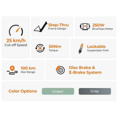 Foride Roamer 1 Step-Thru Elektrofahrrad 250W Motor 36V 13Ah