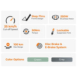 Foride Roamer 1 Step-Thru Elektrofahrrad 250W Motor 36V 13Ah