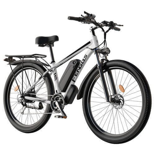 FENGQS Q8 Elektrofahrrad, 750-W-Motor, 48 V, 17,5 Ah, 50 km/h