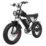 Ridstar Q20 Elektrofahrrad, 1000W Motor, 48V 20Ah