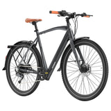 Fafrees F700M Elektrofahrrad 100 km