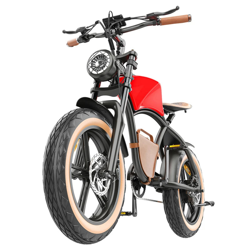 Hidoes B10 Elektrofahrrad 1000W Motor