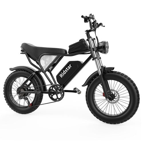 Ridstar Q20 Elektrofahrrad, 1000W Motor, 48V 20Ah