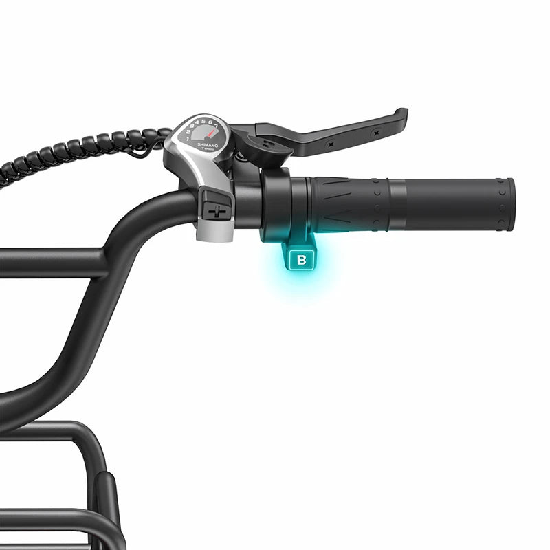 ENGWE L20 Boost
 250 W 126 km Power-Boost-Drehmomentsensor Step-Thru-Elektrofahrrad