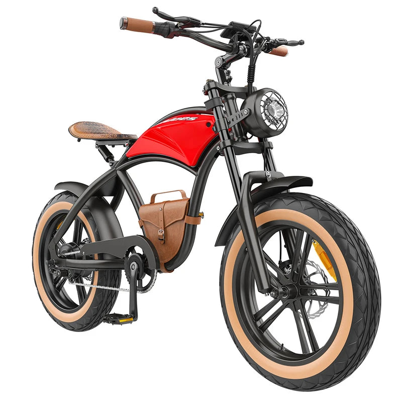Hidoes B10 Elektrofahrrad 1000W Motor