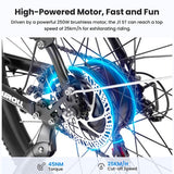 Touroll J1 ST 27,5 Zoll Elektrofahrrad mit 250W Motor 36V 15,6Ah