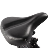 KAISDA K201 3.0 Elektrofahrrad 36V/20.8Ah 