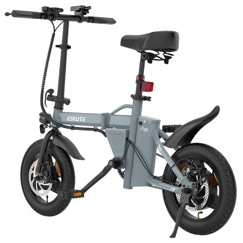 ESKUTE F100 Faltbares Elektrofahrrad, 250-W-Motor, 36 V 9 Ah