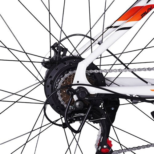 PVY M29 Elektrofahrrad 250W Motor 48V 17,5Ah