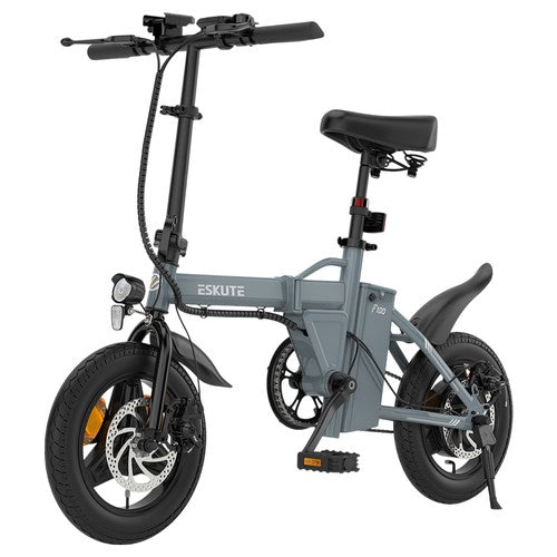 ESKUTE F100 Faltbares Elektrofahrrad, 250-W-Motor, 36 V 9 Ah