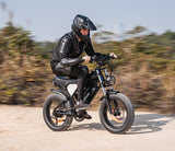 Ridstar Q20 Elektrofahrrad, 1000W Motor, 48V 20Ah