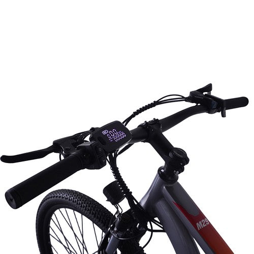 PVY M29 Elektrofahrrad 250W Motor 48V 17,5Ah