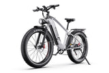 DUOTTS F26Lite Elektrofahrrad