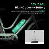 Touroll B2 Elektrofahrrad 250W Motor 36V 15.6Ah