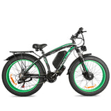 Baolujie DP2602 Elektrofahrrad 2000W 20Ah