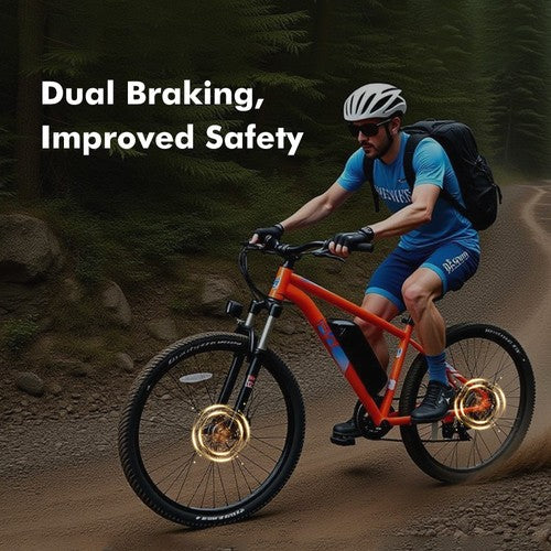 PVY M29 Elektrofahrrad 250W Motor 48V 17,5Ah