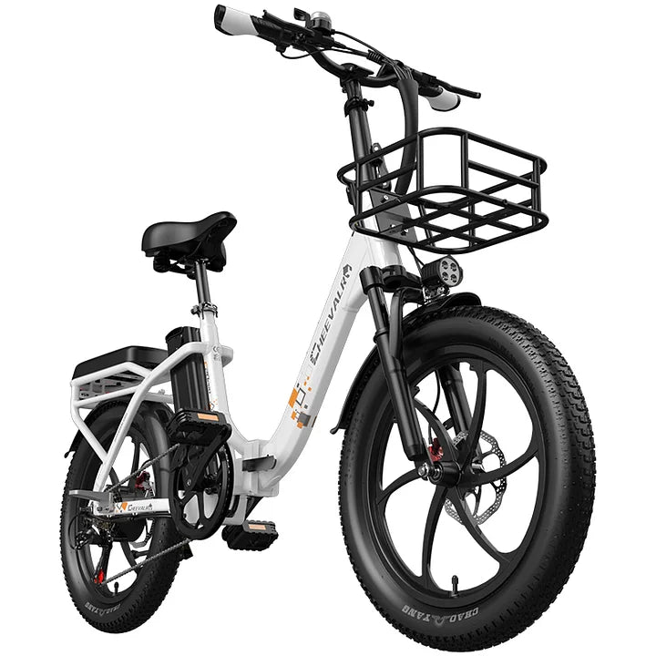 Cheevalry C20 PRO Torque Elektrofahrrad