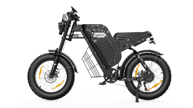 VARUN X-PLORER RAPTOR Elektrofahrrad 48V 20,8A