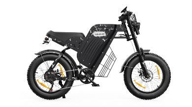 VARUN X-PLORER RAPTOR Elektrofahrrad 48V 20,8A