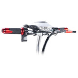 TWOFISH TF03 Elektroscooter mit abnehmbarem Sitz, 350-W-Motor, 48 V 15 Ah