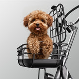 Cysum T1 Pro Elektrodreirad, 250-W-Motor, 48 V 22 Ah