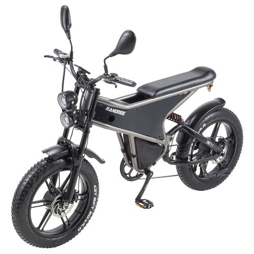 RANDRIDE DM711 Elektrofahrrad 1000W*2 Motor, 48V 20Ah