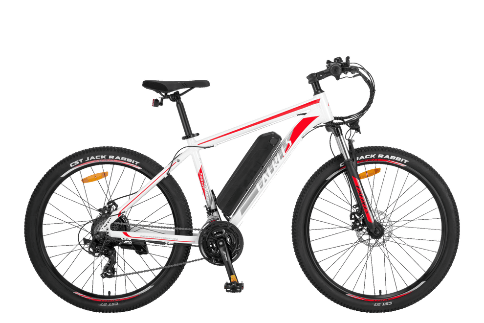 FAFREES F28 MT Elektrofahrrad 