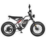 Fafrees F20 Ultra Elektrofahrrad (Bremsen-Upgrade-Version), 750-W-Motor, 48 V 25 Ah