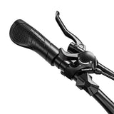 RANDRIDE YG90B Elektrofahrrad 1000W Motor 45km/h max