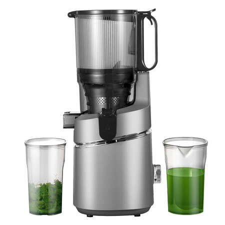 AMZCHEF SJ-036-GA langsam laufender Entsafter