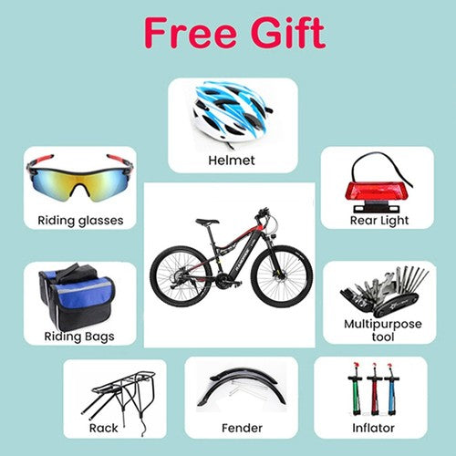 RANDRIDE YG90A Elektrofahrrad 1000W Motor 45km/h max