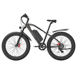GOGOBEST GF600 Plus Elektrofahrrad, 1000 W Motor, 48 V 20 Ah