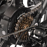 KAISDA K201 3.0 Elektrofahrrad 36V/20.8Ah 