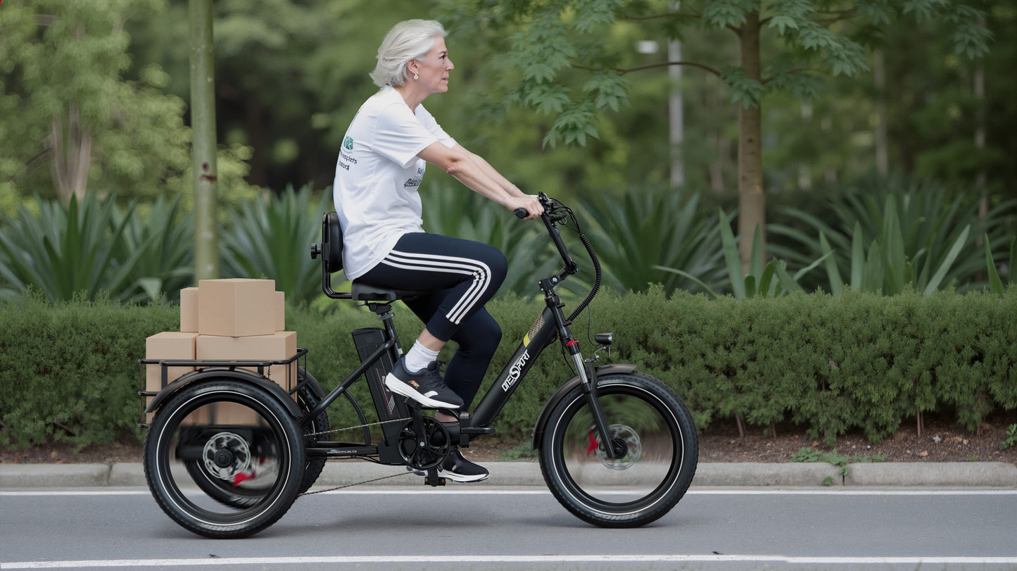 Onesport OT30 Pro Elektrofahrrad