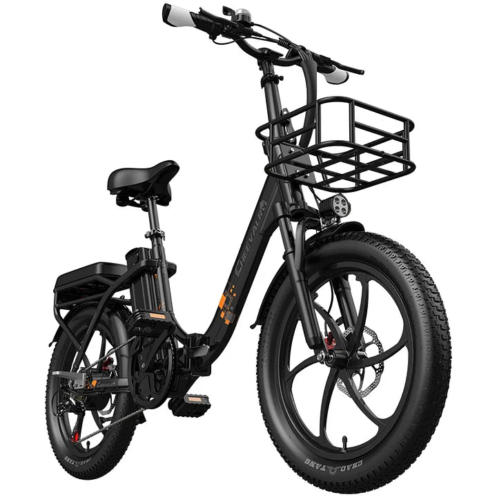 Cheevalry C20 PRO Torque Elektrofahrrad