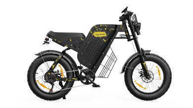 VARUN X-PLORER RAPTOR Elektrofahrrad 48V 20,8A