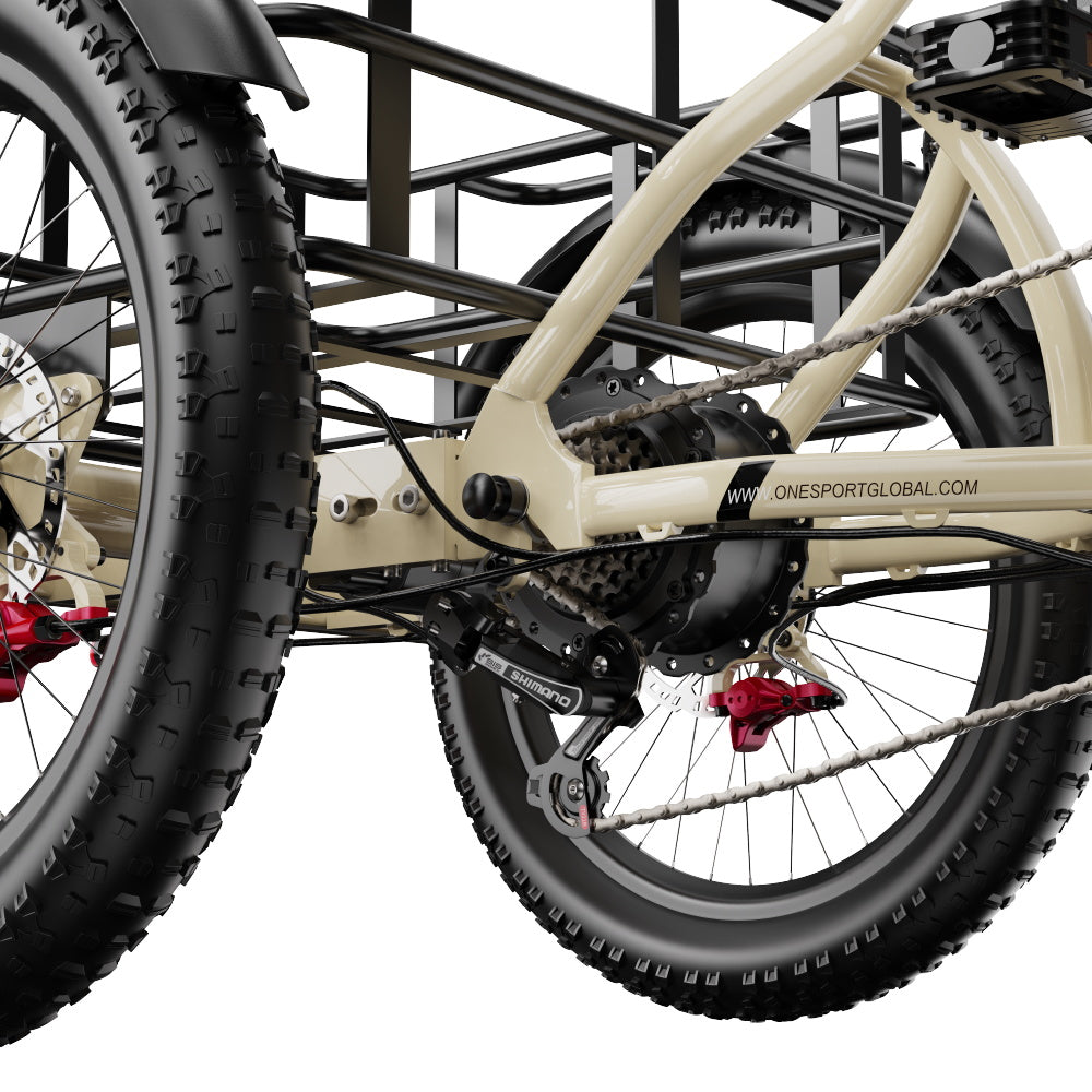 Onesport OT30 Pro Elektrofahrrad